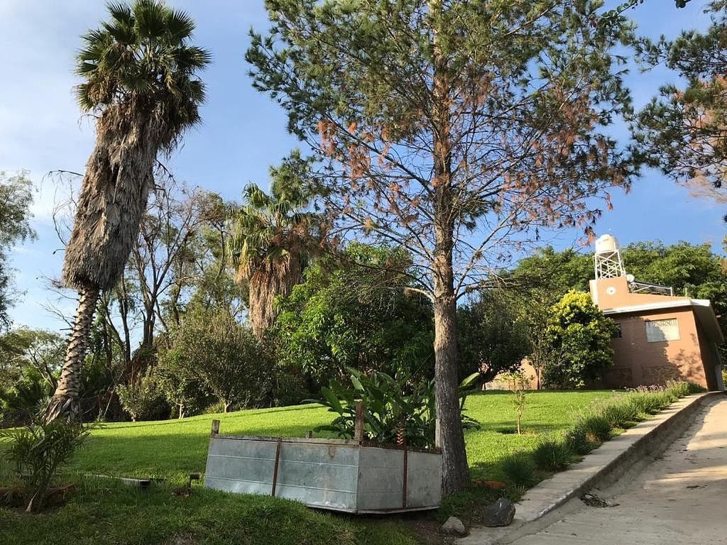 Terreno arbolado en Puente Viejo