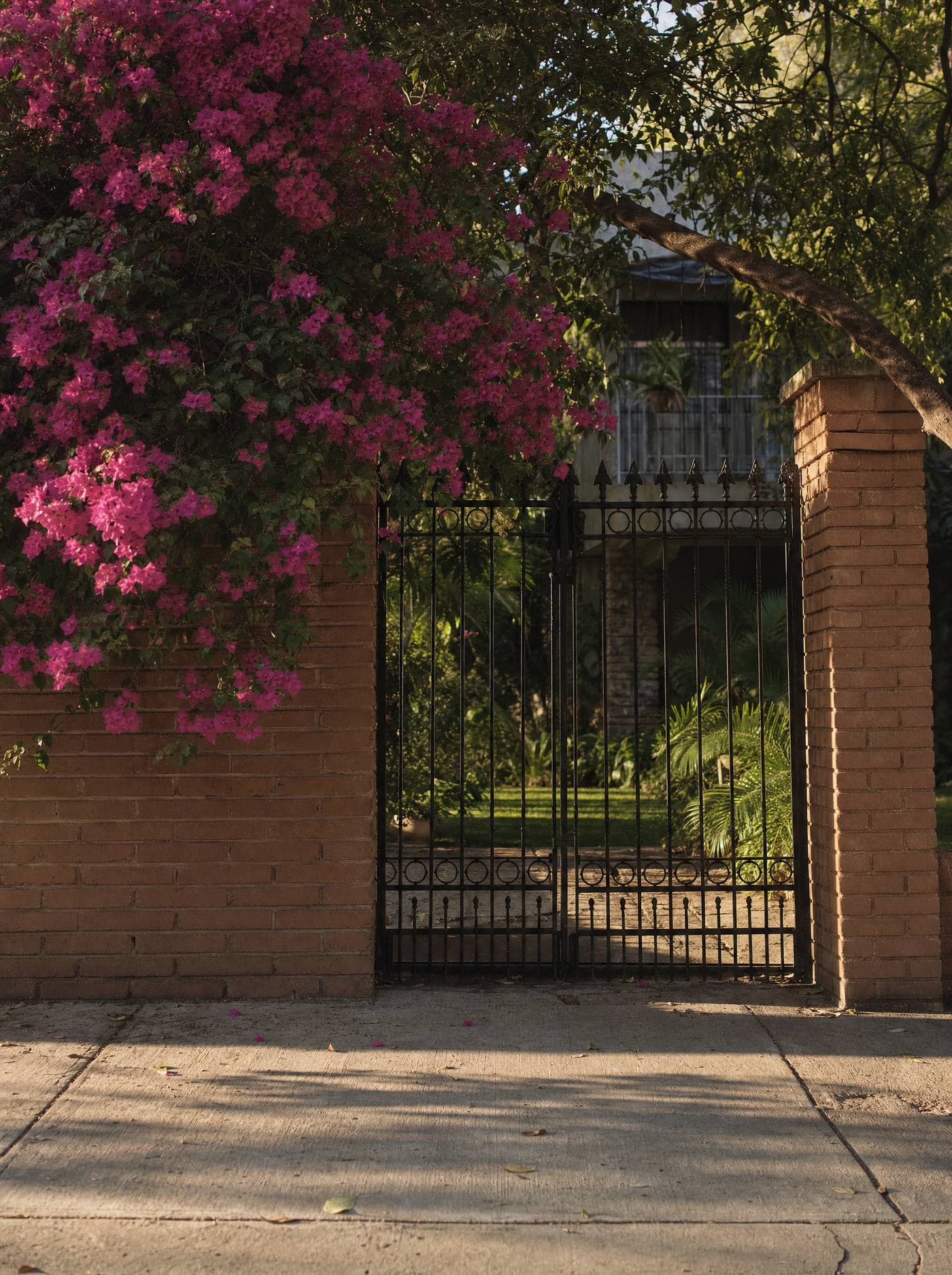 Entrada de una casa tapatía con portón de herrería y bugambilia