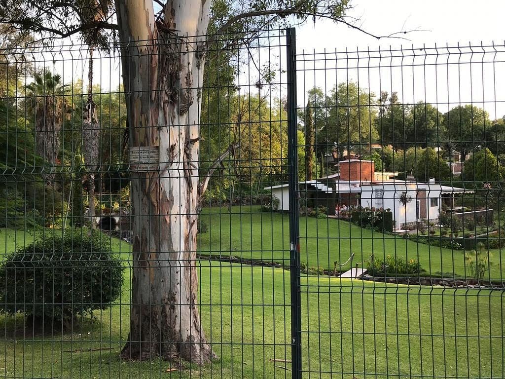 Terreno arbolado en Puente Viejo — foto 3
