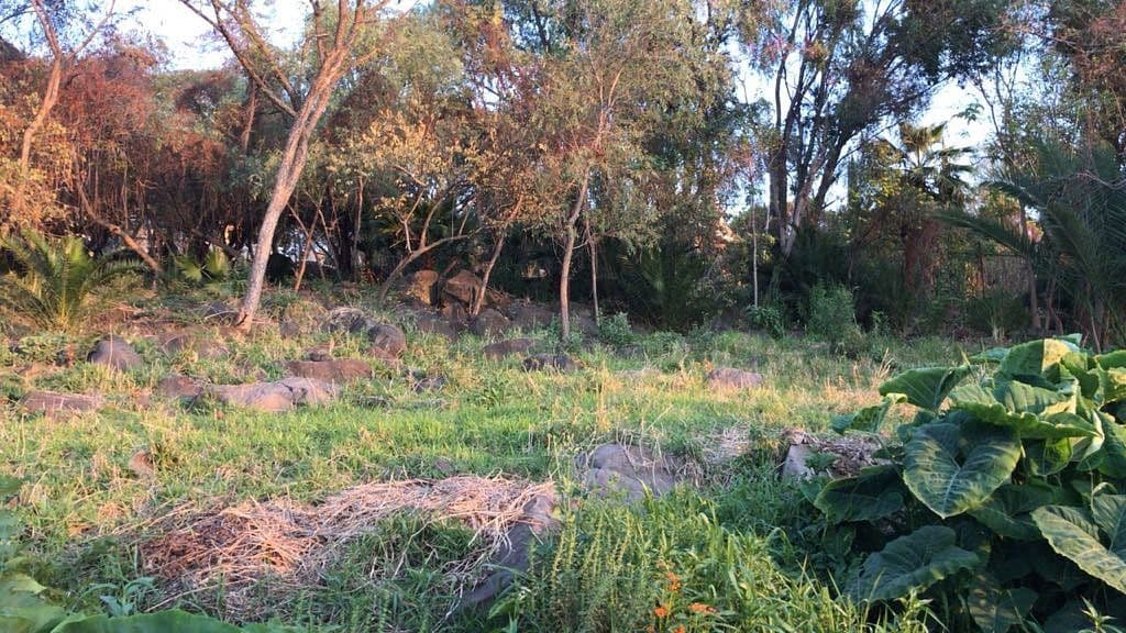 Terreno arbolado en Puente Viejo — foto 5