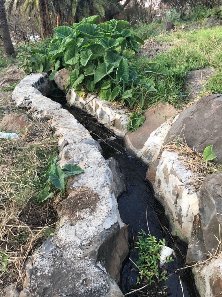 Terreno arbolado en Puente Viejo — foto 4