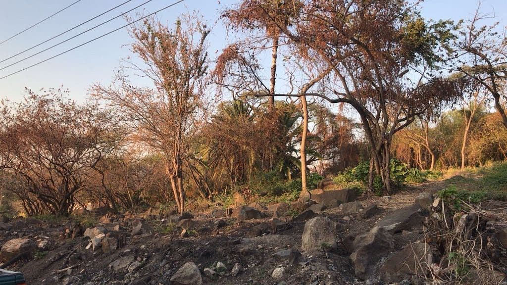 Terreno arbolado en Puente Viejo — foto 6
